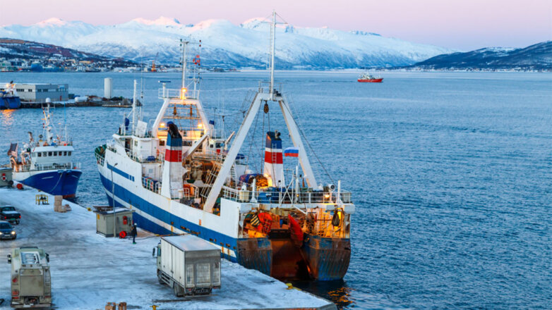 Власти Норвегии ограничили доступ в порты рыболовным судам из России