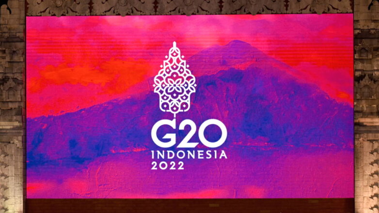 СМИ: МИД Индонезии подтвердил участие Путина и Зеленского в саммите G20