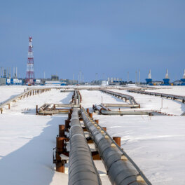 Газопровод "Сила Сибири" достигнет проектной мощности до конца года, заявил посол Китая