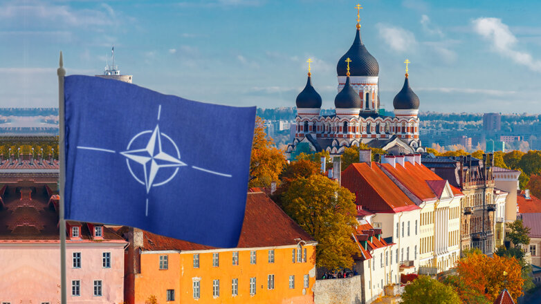 Эксперт Межевич: Эстония, став пристанищем террористов, расплачивается за членство в НАТО