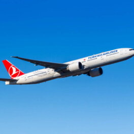 Turkish Airlines отменила все рейсы в Россию