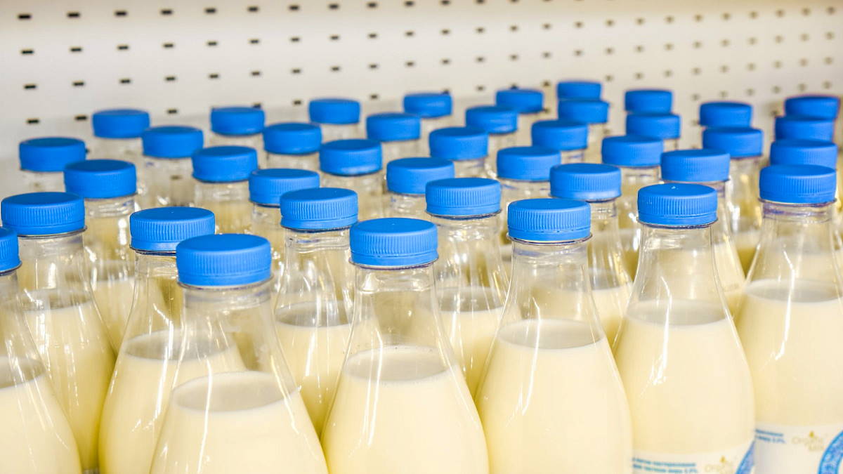 Правительство РФ смягчило требования по маркировке молочной продукции