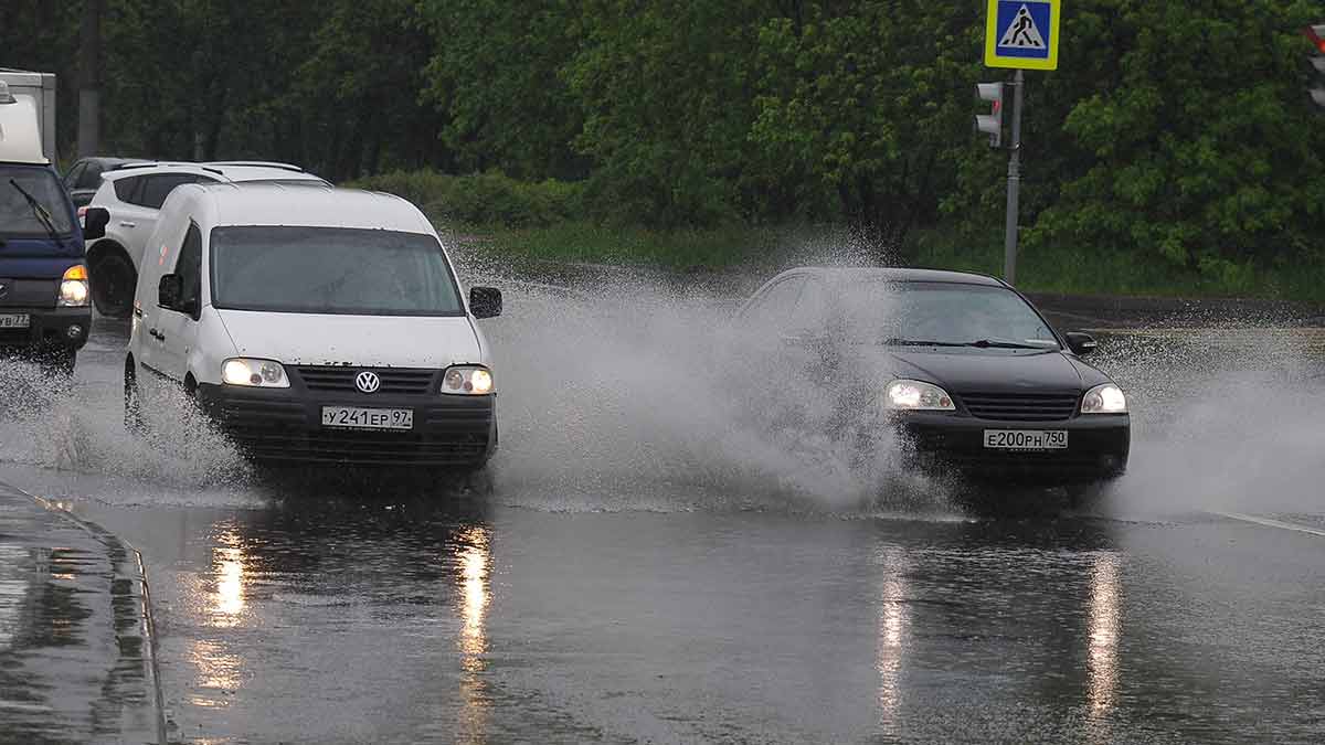 Последний день мая оказался самым дождливым в Московской области за всю весну