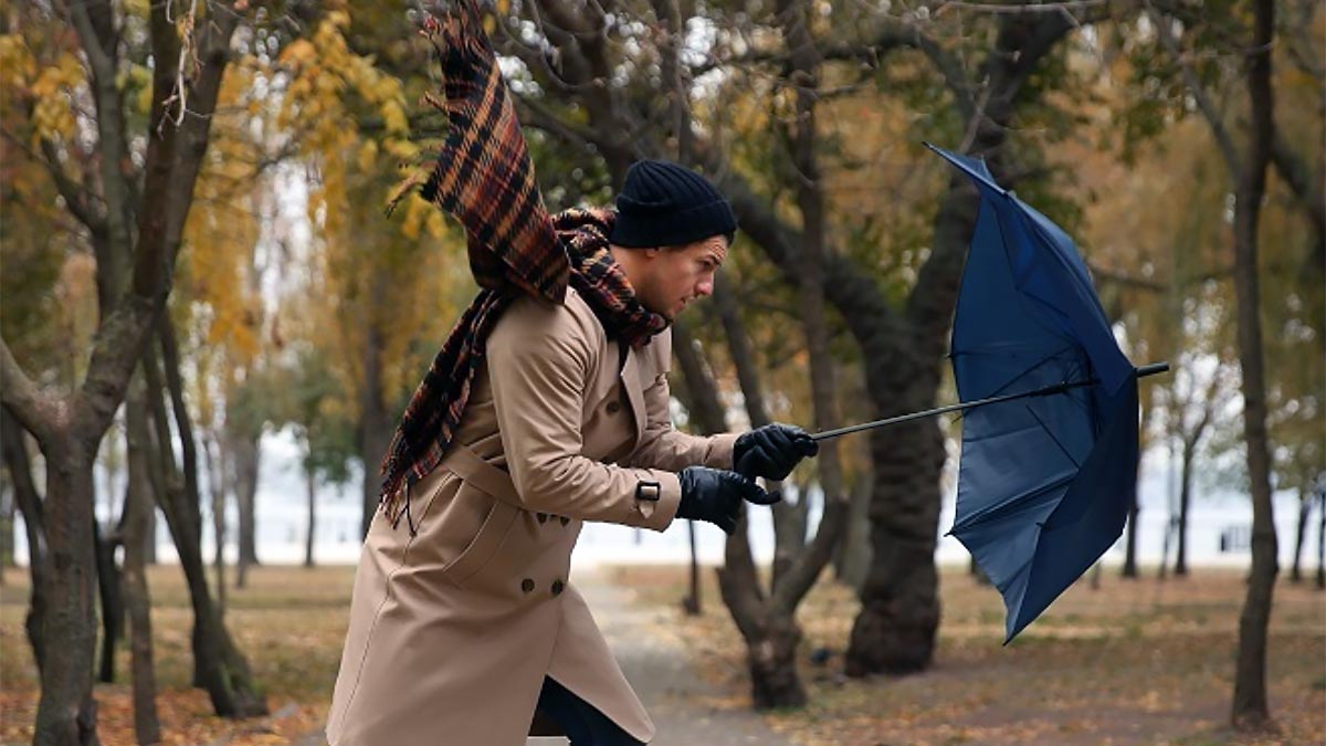 МЧС распространило экстренное предупреждение о порывистом ветре в Московской области