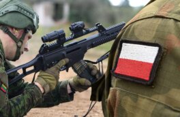 Литва и Польша проведут экстренные совместные военные учения