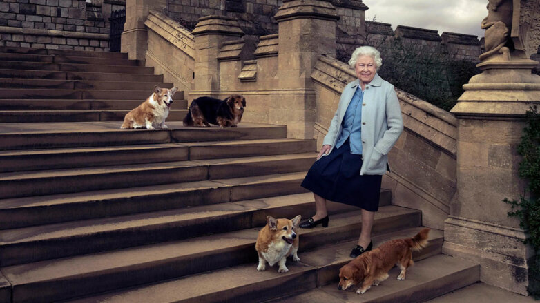 Елизавета II в 1983 году резко отреагировала на совет не заводить так много собак