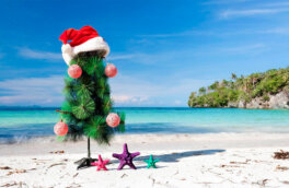 Отпуск-2023: сколько стоят туры в Гоа на Новый год и зимние каникулы