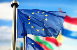 FT: дипломатов ЕС попросили отказаться от вечеринок ради экономии