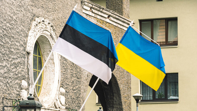 Эстония оказала Украине военную помощь почти на €300 миллионов