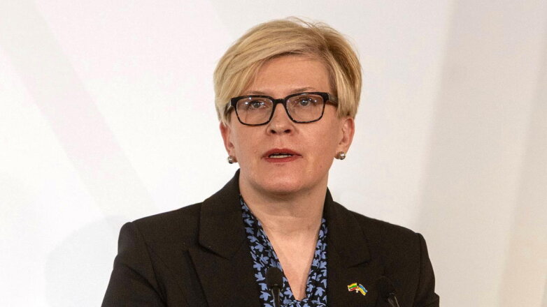 Литва проведет консультации с Польшей из-за инцидента на востоке страны
