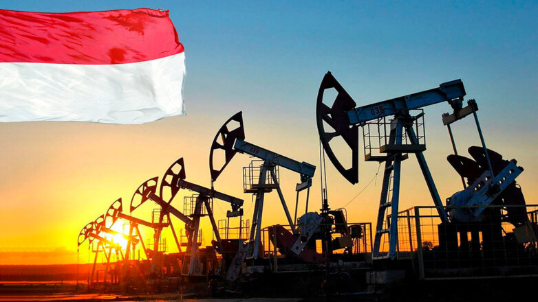 Индонезия допускает импорт российской нефти