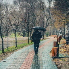 1 ноября в Москве ожидается облачная погода, пройдут осадки