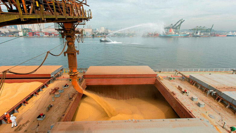 Россия в рамках "зерновой сделки" экспортировала 15 миллионов тонн зерна
