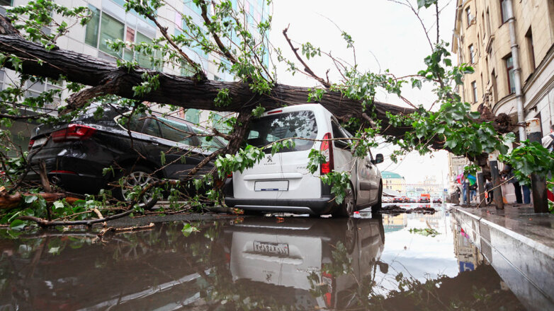 СМИ: ветер в Москве повалил более 100 деревьев и повредил свыше 50 машин