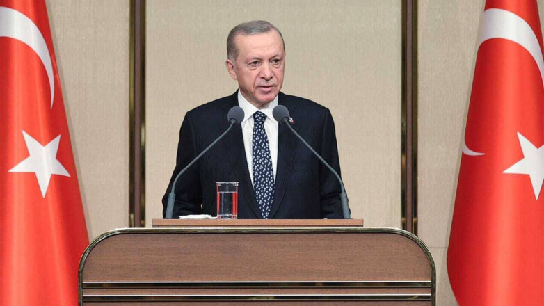 Эрдоган заявил, что Турция завершит создание зоны безопасности на границе с Сирией