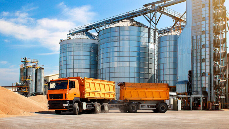 Кабмин РФ одобрил выделение средств на поддержку зернопроизводящих предприятий