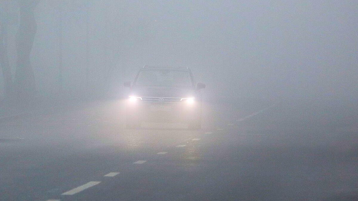 В Минтрансе Подмосковья призвали водителей снижать скорость из-за тумана