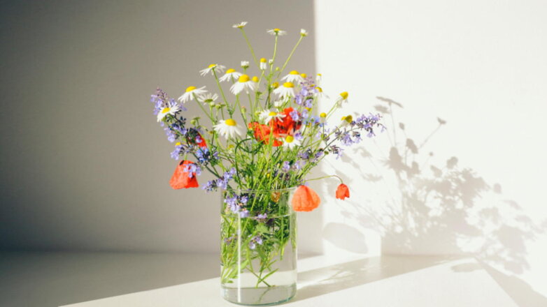 Какие вазы выбрать для дома: советы флористов