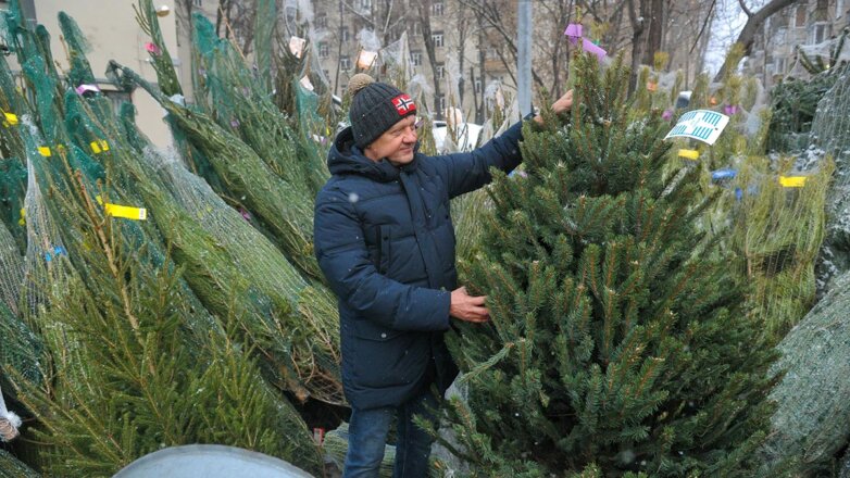 Эксперт: в России останутся импортные елки, но они подорожают на четверть