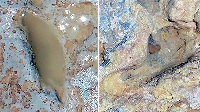 В Испании нашли следы неизвестных гоминидов