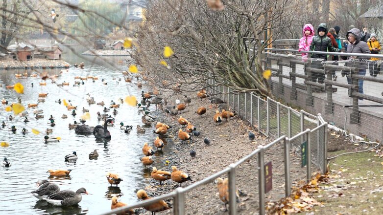 Москвичам пообещали потепление после ноябрьских праздников