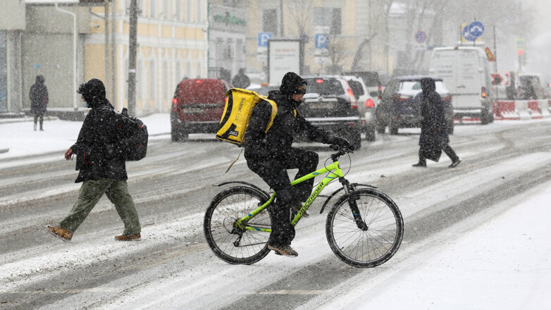 Тишковец пообещал жителям Москвы "мягкий вариант зимы"
