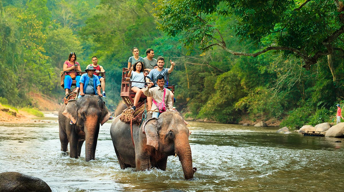 туристы едут верхом на слонах по джунглям в Таиланде