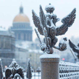 Из-за зависшего над Санкт-Петербургом циклона снежный покров в городе вырос в 2 раза