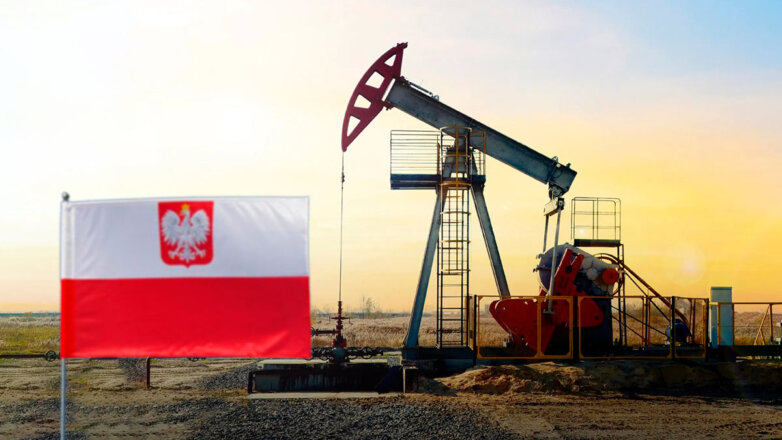Новак назвал театром абсурда запрос Польши на прокачку российской нефти