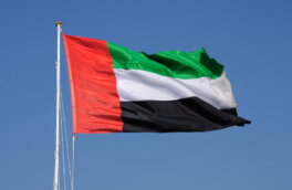 Сына эмира Дубая назначили вице-премьером и главой Минобороны ОАЭ