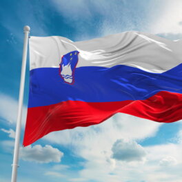 Премьер Словении предложил референдум о сохранении членства страны в НАТО