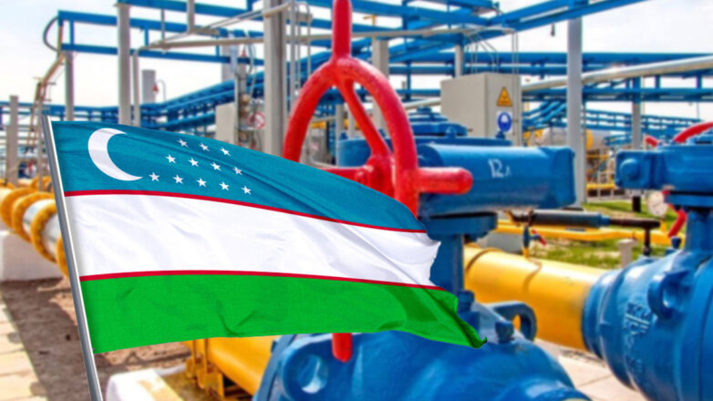 Узбекистан намерен импортировать газ у соседей, а не через альянсы