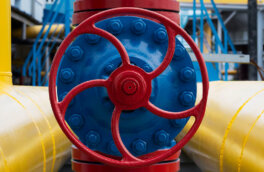 Некоторые страны ЕС выступили за снижение "потолка" цен на газ до €200 за МВт·ч