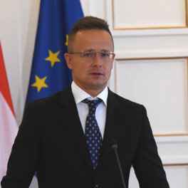 СМИ: Венгрия перенесла встречу Сийярто и Бербок, а не отменила