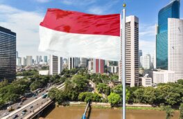 Торговля между РФ и Индонезией выросла на 50%