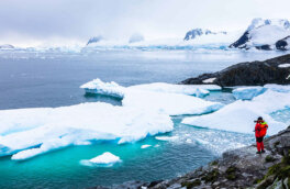 Открытия из Антарктиды в 2022 году: самые удивительные находки