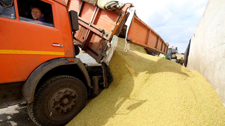 Хранить нельзя продать: как Россия распорядится небывалым урожаем зерна