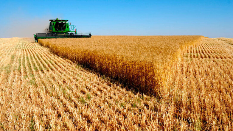 Кабмин направит 12,6 миллиарда рублей на поддержку экспортеров сельхозпродукции