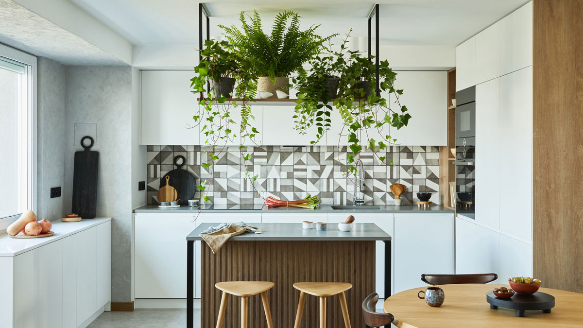 Комнатные растения над кухонным столом