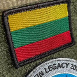 В Литве одобрили призыв в армию сразу после школы