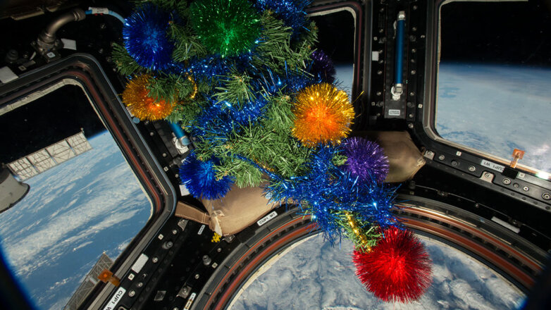 Новогодний стол российских космонавтов на МКС будет с креветками и черной икрой