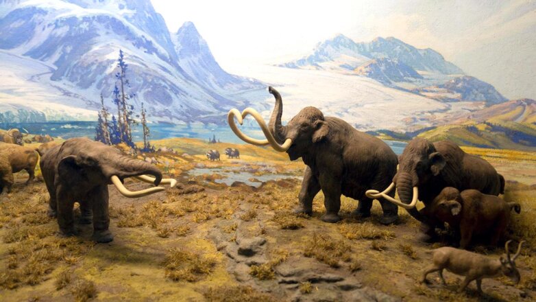 Древняя ДНК помогла узнать, что миллионы лет назад на севере Гренландии жили мастодонты