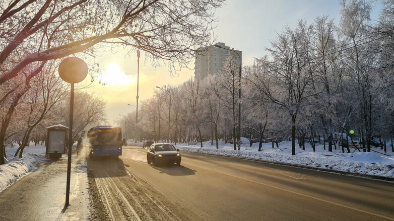 Жителям Москвы пообещали солнечную и морозную погоду на неделе