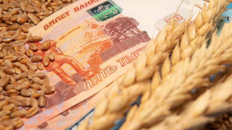 Экспортная пошлина на пшеницу из РФ вырастет до 3333 рублей за тонну