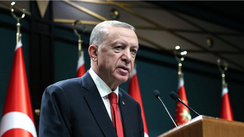 Эрдоган заявил, что Турция ведет подготовку по предложенному Путиным "газовому хабу"