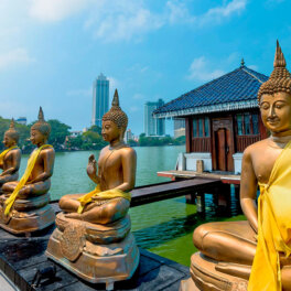 Шри-Ланка ввела новую систему получения электронных виз для туристов