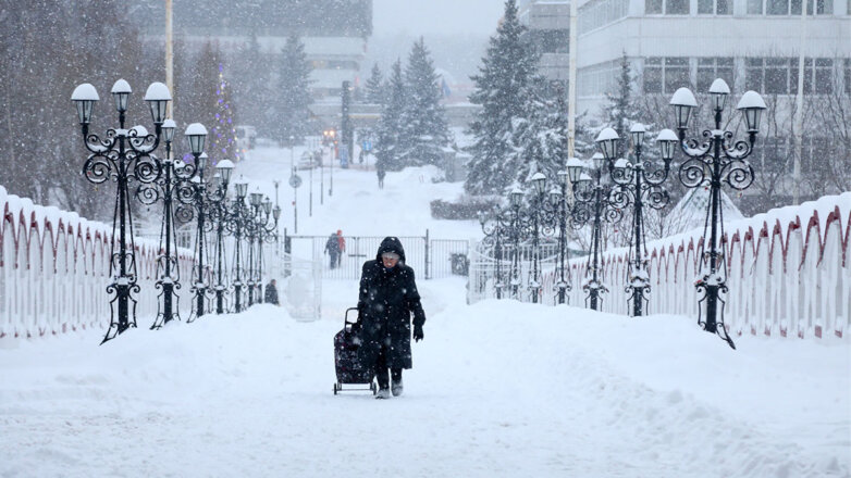 Уровень снежного покрова в Москве продолжит снижаться
