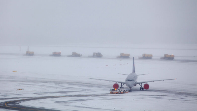 В аэропортах Москвы задержали и отменили 49 рейсов из-за снегопада