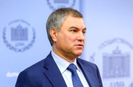 Председатель Госдумы высказался о рисках отказа от русского языка в странах СНГ