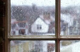 Ситуацию с непогодой в Кубани прокомментировали в АТОР